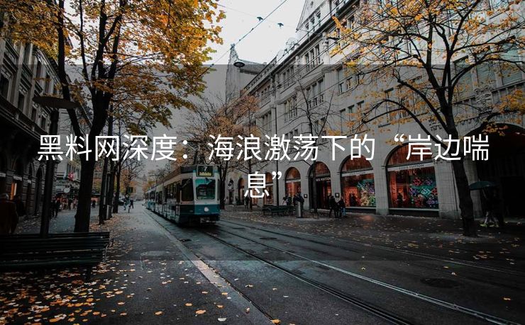 黑料网深度：海浪激荡下的“岸边喘息”