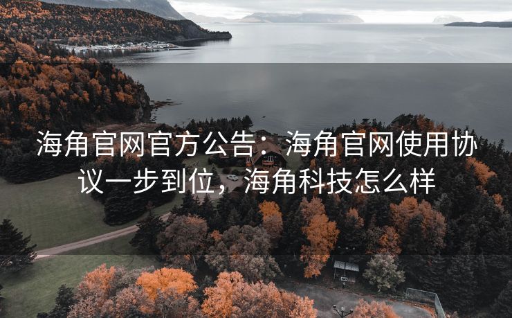 海角官网官方公告：海角官网使用协议一步到位，海角科技怎么样