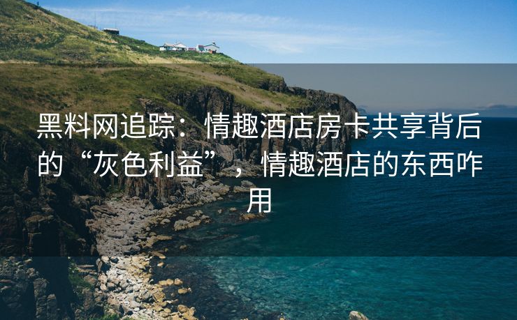 黑料网追踪：情趣酒店房卡共享背后的“灰色利益”，情趣酒店的东西咋用