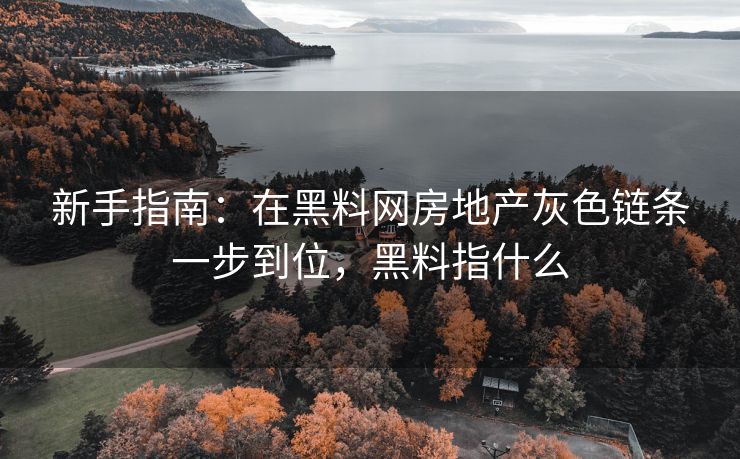 新手指南：在黑料网房地产灰色链条一步到位，黑料指什么