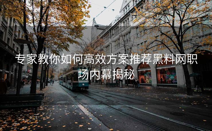 专家教你如何高效方案推荐黑料网职场内幕揭秘