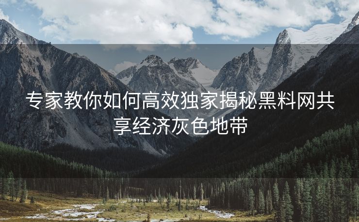 专家教你如何高效独家揭秘黑料网共享经济灰色地带