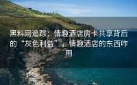 黑料网追踪：情趣酒店房卡共享背后的“灰色利益”，情趣酒店的东西咋用