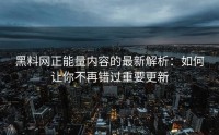黑料网正能量内容的最新解析：如何让你不再错过重要更新