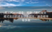 黑料网app调查：短剧“滚动投资”模式背后的资金链脆弱性，崩盘概率有多高