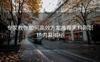 专家教你如何高效方案推荐黑料网职场内幕揭秘