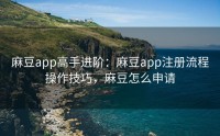 麻豆app高手进阶：麻豆app注册流程操作技巧，麻豆怎么申请