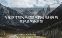 专家教你如何高效独家揭秘黑料网共享经济灰色地带