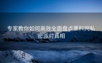 专家教你如何高效全面盘点黑料网私密派对真相