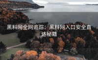 黑料网全网追踪：黑料网入口安全直达秘籍