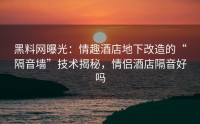 黑料网曝光：情趣酒店地下改造的“隔音墙”技术揭秘，情侣酒店隔音好吗
