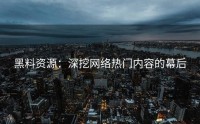 黑料资源：深挖网络热门内容的幕后