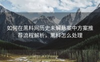 如何在黑料网历史未解悬案中方案推荐流程解析，黑料怎么处理