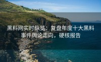 黑料网实时纵览：复盘年度十大黑料事件舆论走向，硬核报告