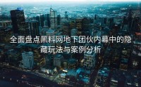 全面盘点黑料网地下团伙内幕中的隐藏玩法与案例分析