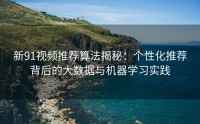 新91视频推荐算法揭秘：个性化推荐背后的大数据与机器学习实践