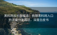 黑料网加长版报道：梳理黑料网入口的流量分发路径，深度白皮书