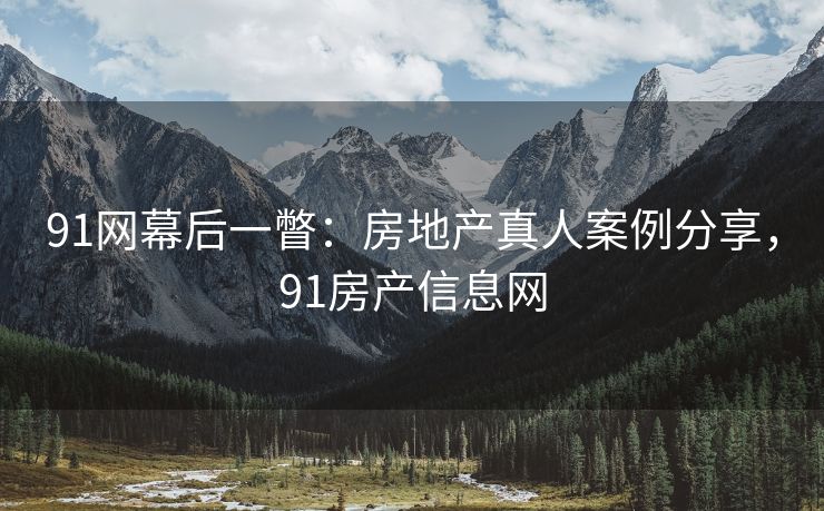 91网幕后一瞥：房地产真人案例分享，91房产信息网