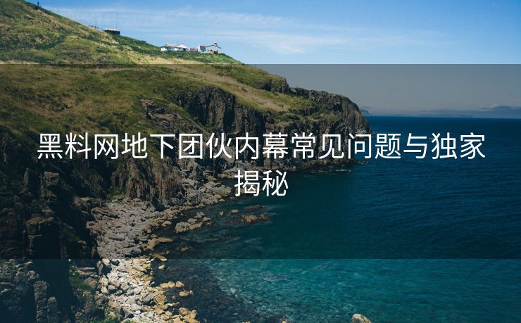 黑料网地下团伙内幕常见问题与独家揭秘