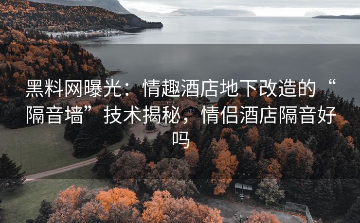 黑料网曝光：情趣酒店地下改造的“隔音墙”技术揭秘，情侣酒店隔音好吗