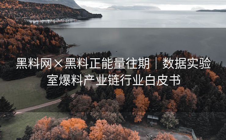 黑料网×黑料正能量往期｜数据实验室爆料产业链行业白皮书