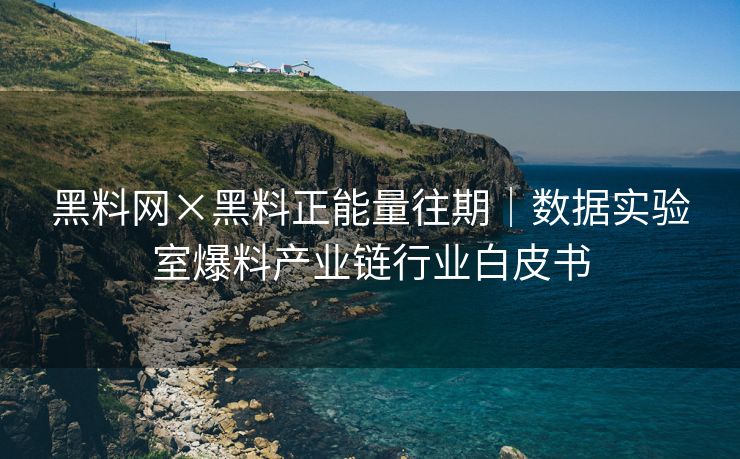 黑料网×黑料正能量往期｜数据实验室爆料产业链行业白皮书