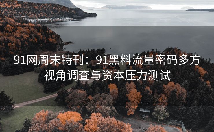 91网周末特刊：91黑料流量密码多方视角调查与资本压力测试