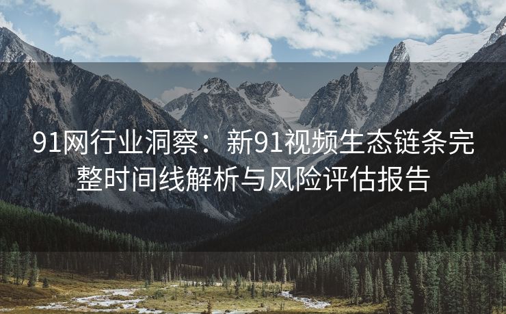 91网行业洞察：新91视频生态链条完整时间线解析与风险评估报告