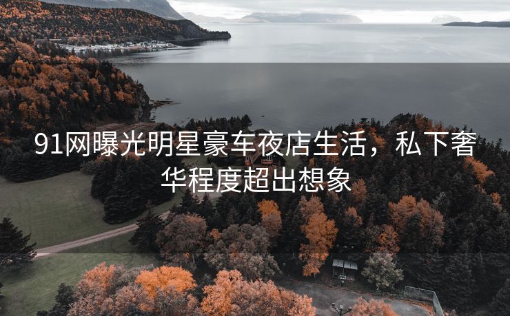 91网曝光明星豪车夜店生活，私下奢华程度超出想象