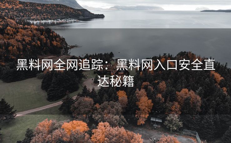 黑料网全网追踪：黑料网入口安全直达秘籍