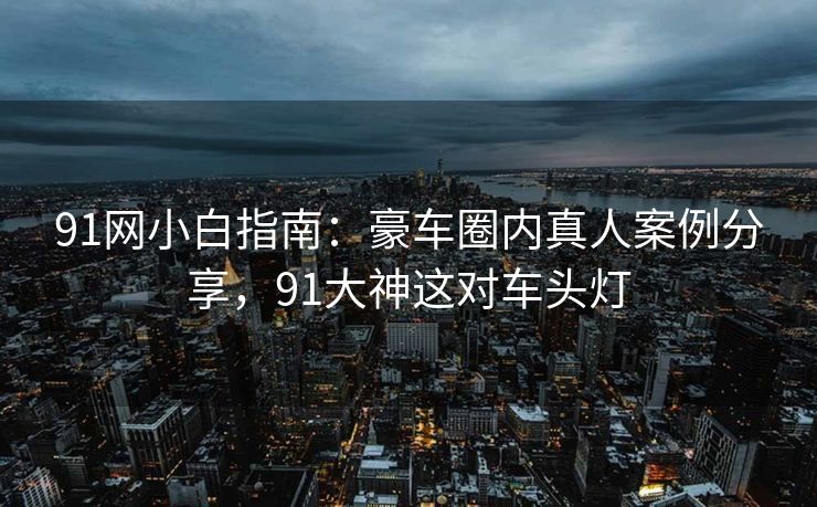 91网小白指南：豪车圈内真人案例分享，91大神这对车头灯