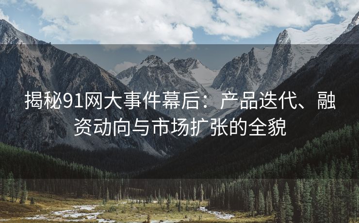 揭秘91网大事件幕后：产品迭代、融资动向与市场扩张的全貌