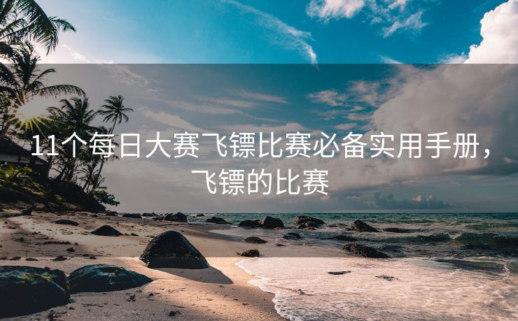 11个每日大赛飞镖比赛必备实用手册，飞镖的比赛